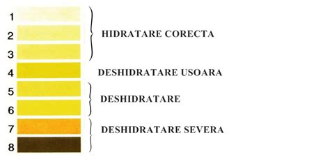 urină portocalie|Culoarea urinei – ce e normal si cand indica o problema